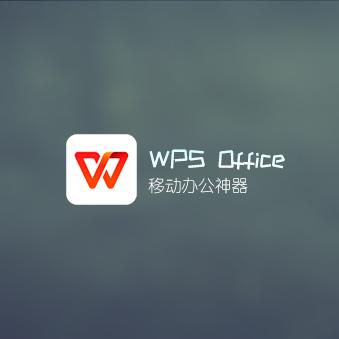 WPS Office v16.8.4 直装付费高级会员版