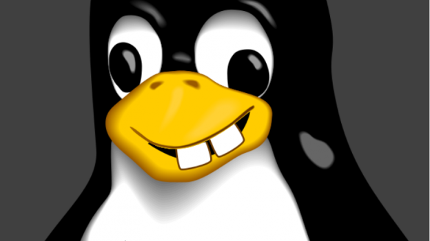 如何在 Linux 中不输入密码运行 sudo 命令如何在 Linux 中不输入密码运行 sudo 命令