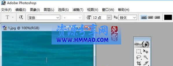 Adobe Photoshop7.0 迷你中文版下载